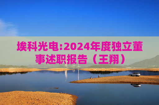 埃科光电:2024年度独立董事述职报告（王翔）  第1张