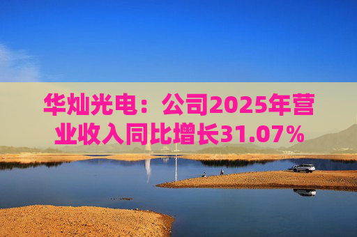 华灿光电：公司2025年营业收入同比增长31.07%