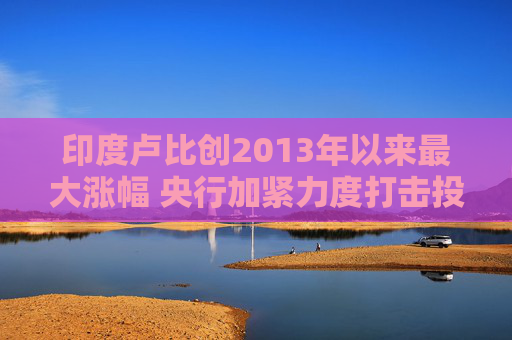 印度卢比创2013年以来最大涨幅 央行加紧力度打击投机交易
