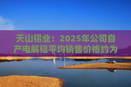天山铝业：2025年公司自产电解铝平均销售价格约为20600元/吨