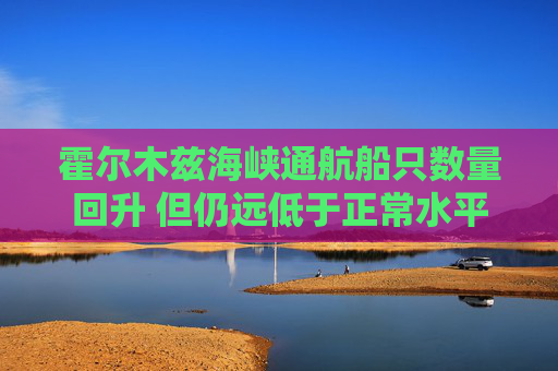 霍尔木兹海峡通航船只数量回升 但仍远低于正常水平