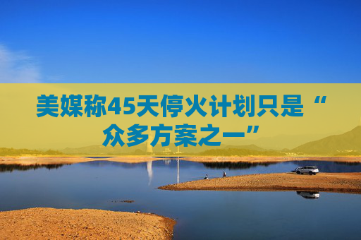 美媒称45天停火计划只是“众多方案之一”