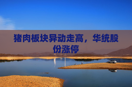 猪肉板块异动走高，华统股份涨停