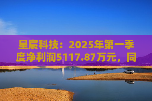 星宸科技：2025年第一季度净利润5117.87万元，同比增长0.48%  第1张