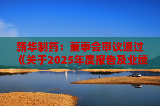 新华制药：董事会审议通过《关于2025年度报告及业绩公告的议案》等多项议案