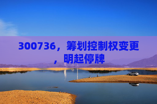 300736，筹划控制权变更，明起停牌