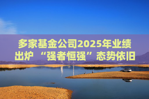 多家基金公司2025年业绩出炉 “强者恒强”态势依旧