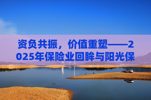 资负共振，价值重塑――2025年保险业回眸与阳光保险样本