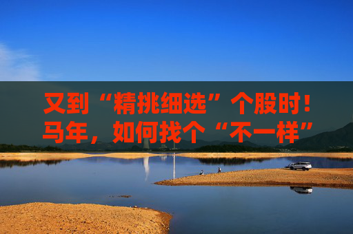 又到“精挑细选”个股时！马年，如何找个“不一样”的基金管理人替你出赛？