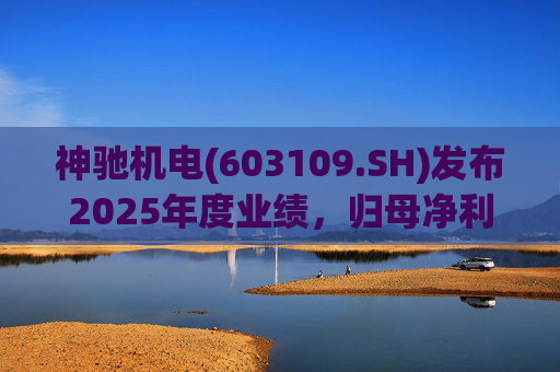 神驰机电(603109.SH)发布2025年度业绩，归母净利润1.34亿元，同比下降30.94%