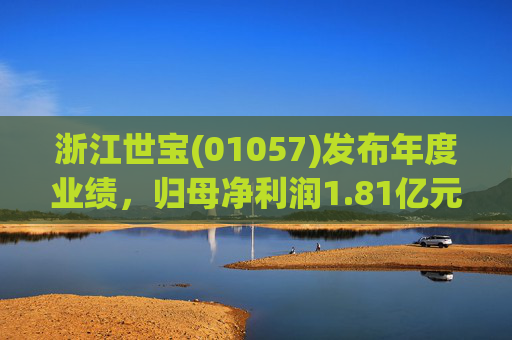 浙江世宝(01057)发布年度业绩，归母净利润1.81亿元 同比增加21.05%