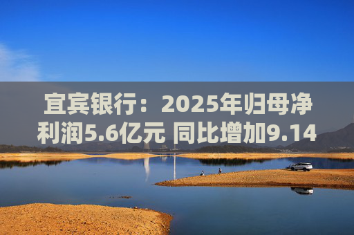 宜宾银行：2025年归母净利润5.6亿元 同比增加9.14%