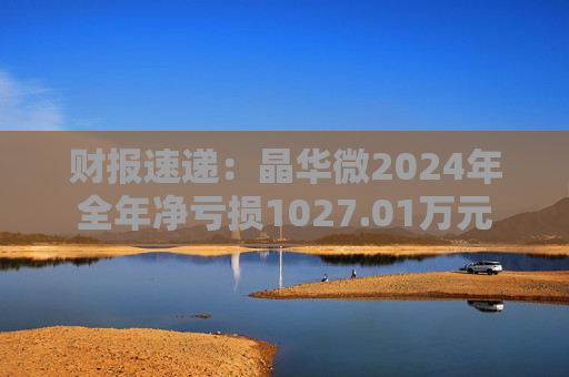 财报速递：晶华微2024年全年净亏损1027.01万元