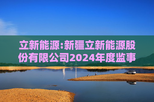 立新能源:新疆立新能源股份有限公司2024年度监事会工作报告