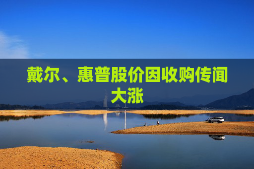 戴尔、惠普股价因收购传闻大涨  第1张