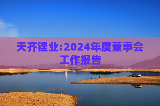 天齐锂业:2024年度董事会工作报告