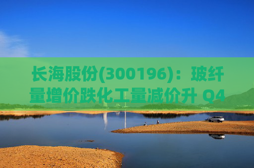长海股份(300196)：玻纤量增价跌化工量减价升 Q4业绩同比显著修复