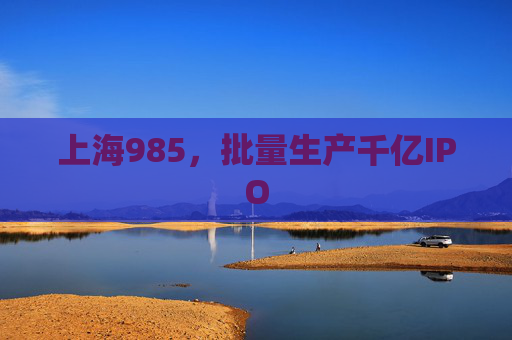 上海985，批量生产千亿IPO