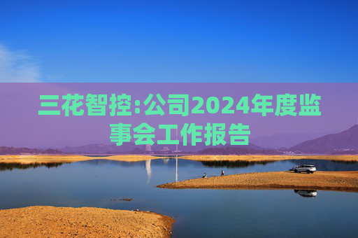 三花智控:公司2024年度监事会工作报告  第1张