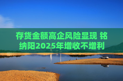 存货金额高企风险显现 铭纳阳2025年增收不增利  第1张