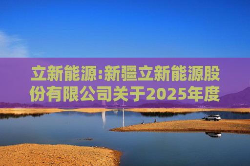 立新能源:新疆立新能源股份有限公司关于2025年度日常关联交易预计的公告  第1张