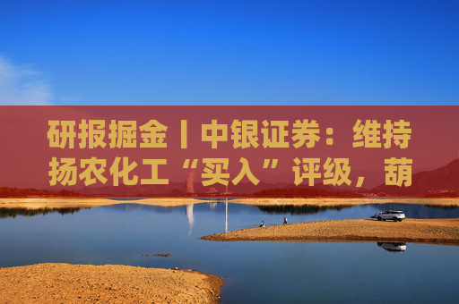 研报掘金丨中银证券:维持扬农化工“买入”评级,葫芦岛基地项目建设稳步推进 第1张 研报掘金丨中银证券:维持扬农化工“买入”评级,葫芦岛基地项目建设稳步推进 第1张
