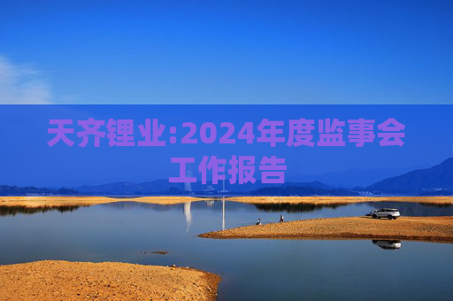 天齐锂业:2024年度监事会工作报告