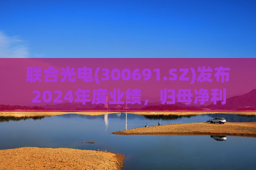 联合光电(300691.SZ)发布2024年度业绩，归母净利润3856.29万元，同比下降40.02%
