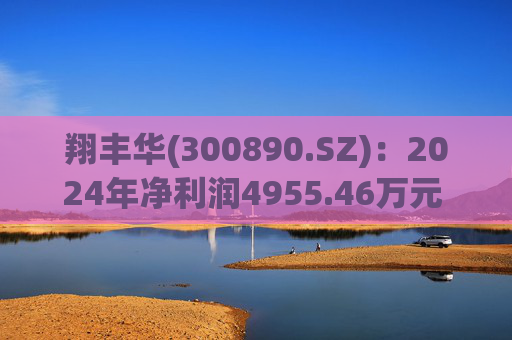 翔丰华(300890.SZ)：2024年净利润4955.46万元 同比下降40.23%