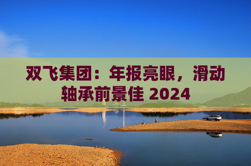 双飞集团：年报亮眼，滑动轴承前景佳 2024