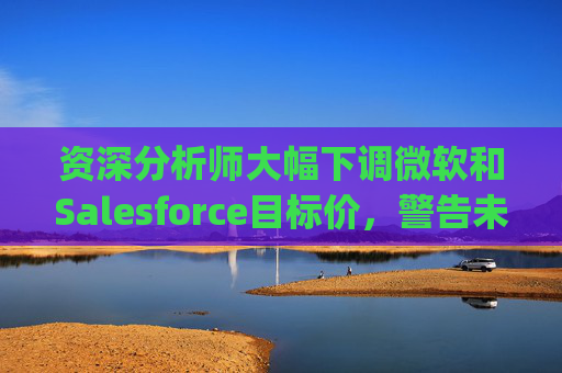 资深分析师大幅下调微软和Salesforce目标价，警告未来一年将"艰难"