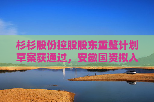 杉杉股份控股股东重整计划草案获通过，安徽国资拟入主