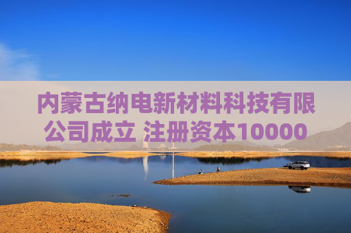 内蒙古纳电新材料科技有限公司成立 注册资本10000万人民币  第1张