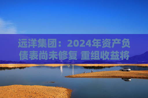远洋集团：2024年资产负债表尚未修复 重组收益将于2025年释放
