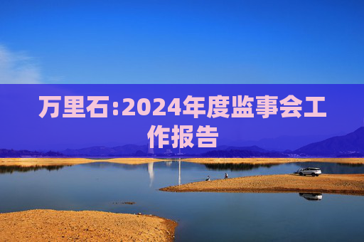 万里石:2024年度监事会工作报告