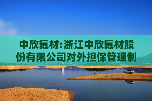 中欣氟材:浙江中欣氟材股份有限公司对外担保管理制度