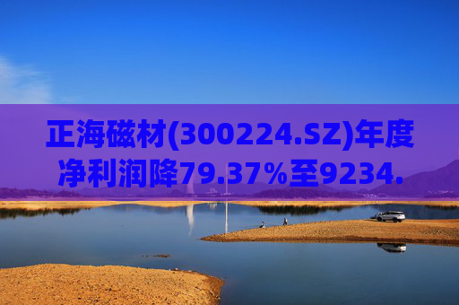 正海磁材(300224.SZ)年度净利润降79.37%至9234.02万元  高性能钕铁硼永磁材料销量实现连续七年增长