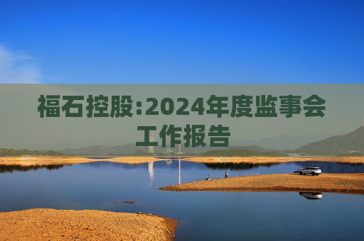 福石控股:2024年度监事会工作报告