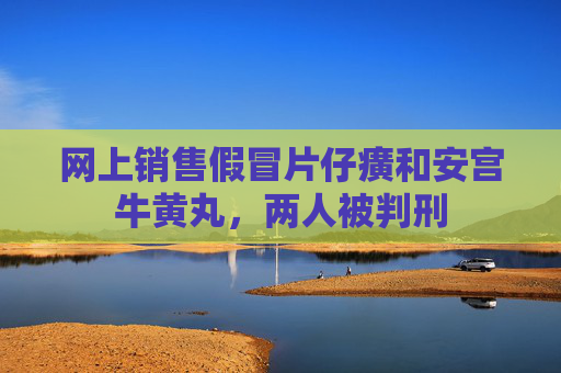 网上销售假冒片仔癀和安宫牛黄丸，两人被判刑