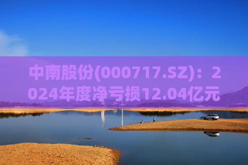 中南股份(000717.SZ)：2024年度净亏损12.04亿元