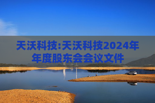 天沃科技:天沃科技2024年年度股东会会议文件