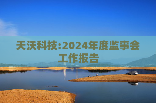 天沃科技:2024年度监事会工作报告