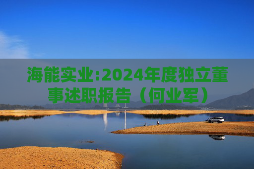 海能实业:2024年度独立董事述职报告（何业军）