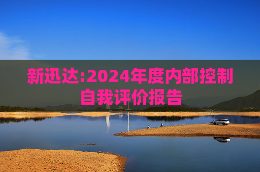 新迅达:2024年度内部控制自我评价报告