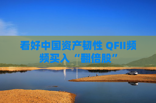 看好中国资产韧性 QFII频频买入“翻倍股”