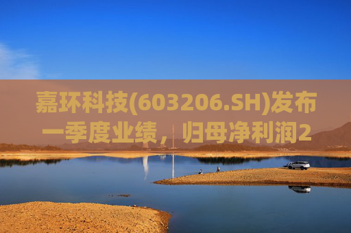 嘉环科技(603206.SH)发布一季度业绩，归母净利润2021.72万元，同比下降21.02%