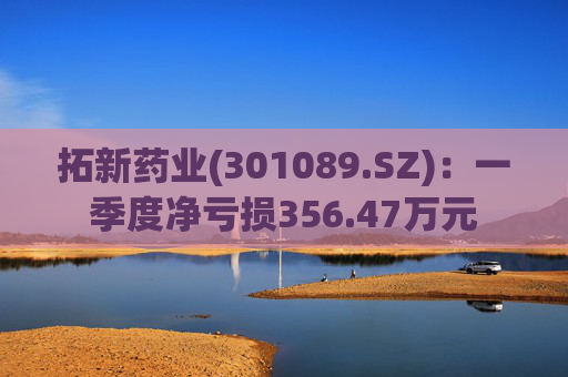 拓新药业(301089.SZ)：一季度净亏损356.47万元