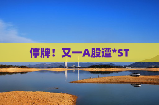 停牌！又一A股遭*ST
