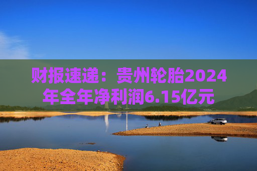 财报速递：贵州轮胎2024年全年净利润6.15亿元
