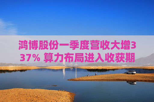 鸿博股份一季度营收大增337% 算力布局进入收获期